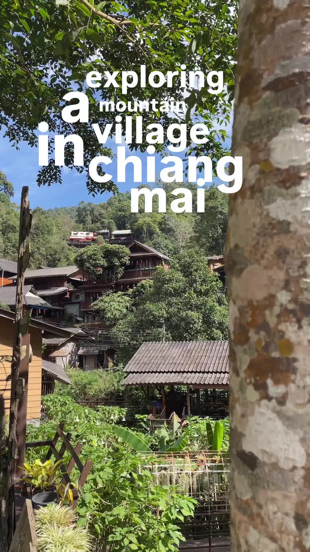 Chiang Mai Village